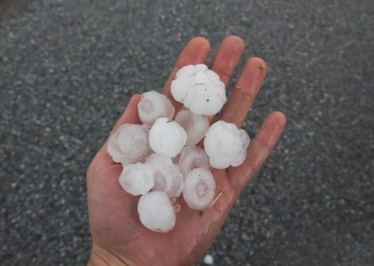 Hail Storm Leads service