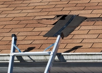 Wind Storm Leads service